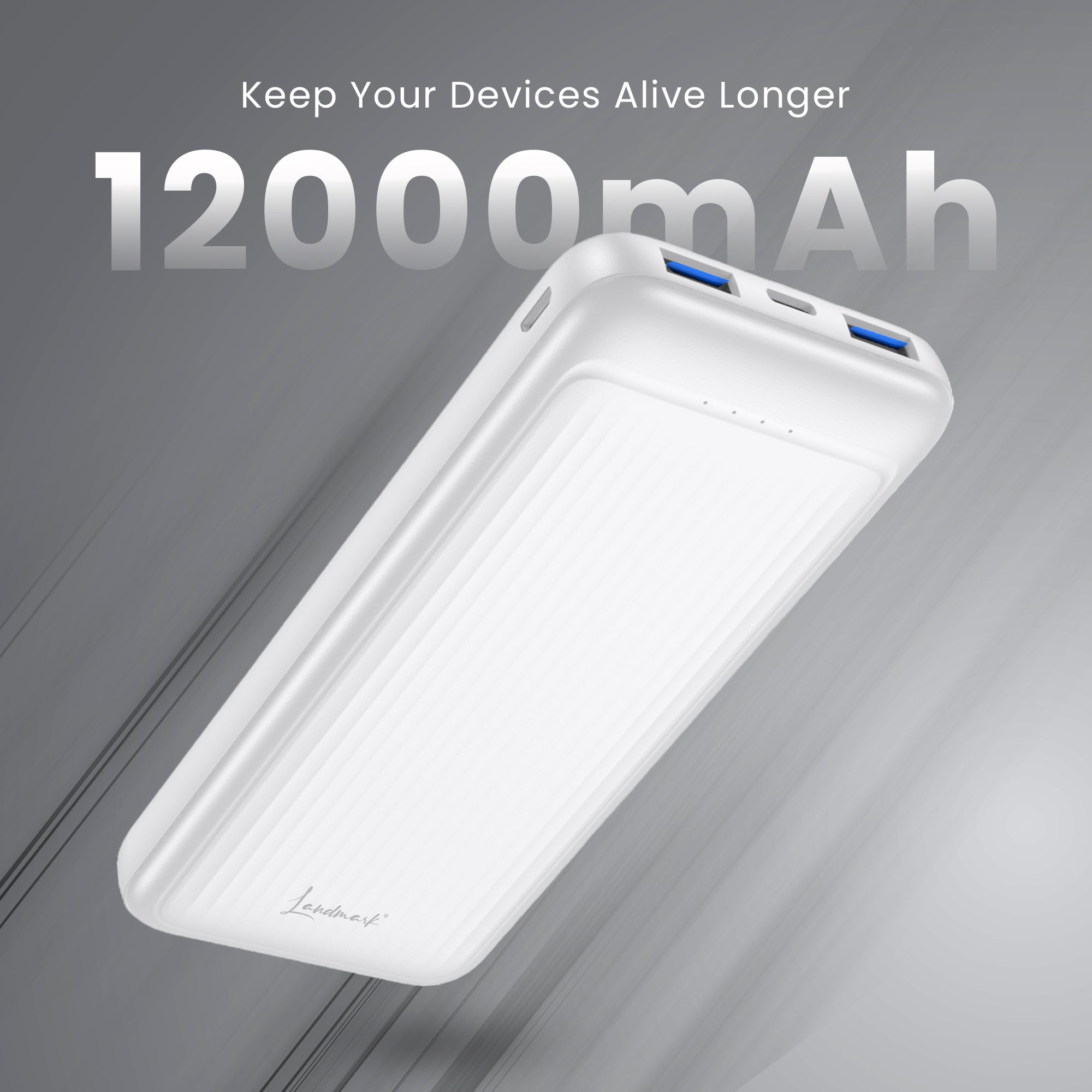 Powerbank PB471 (Made in India)