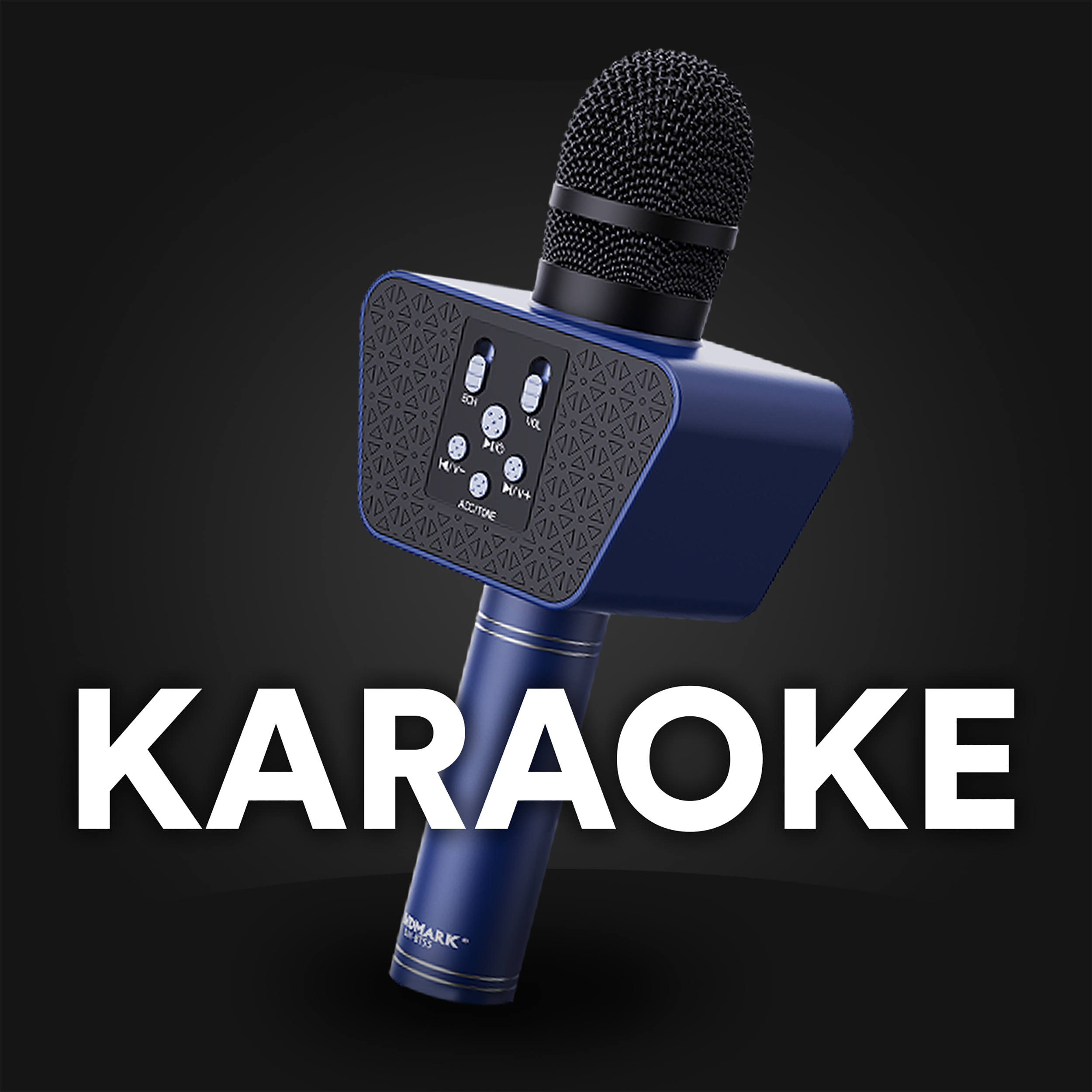 Karaoke Mic BT55