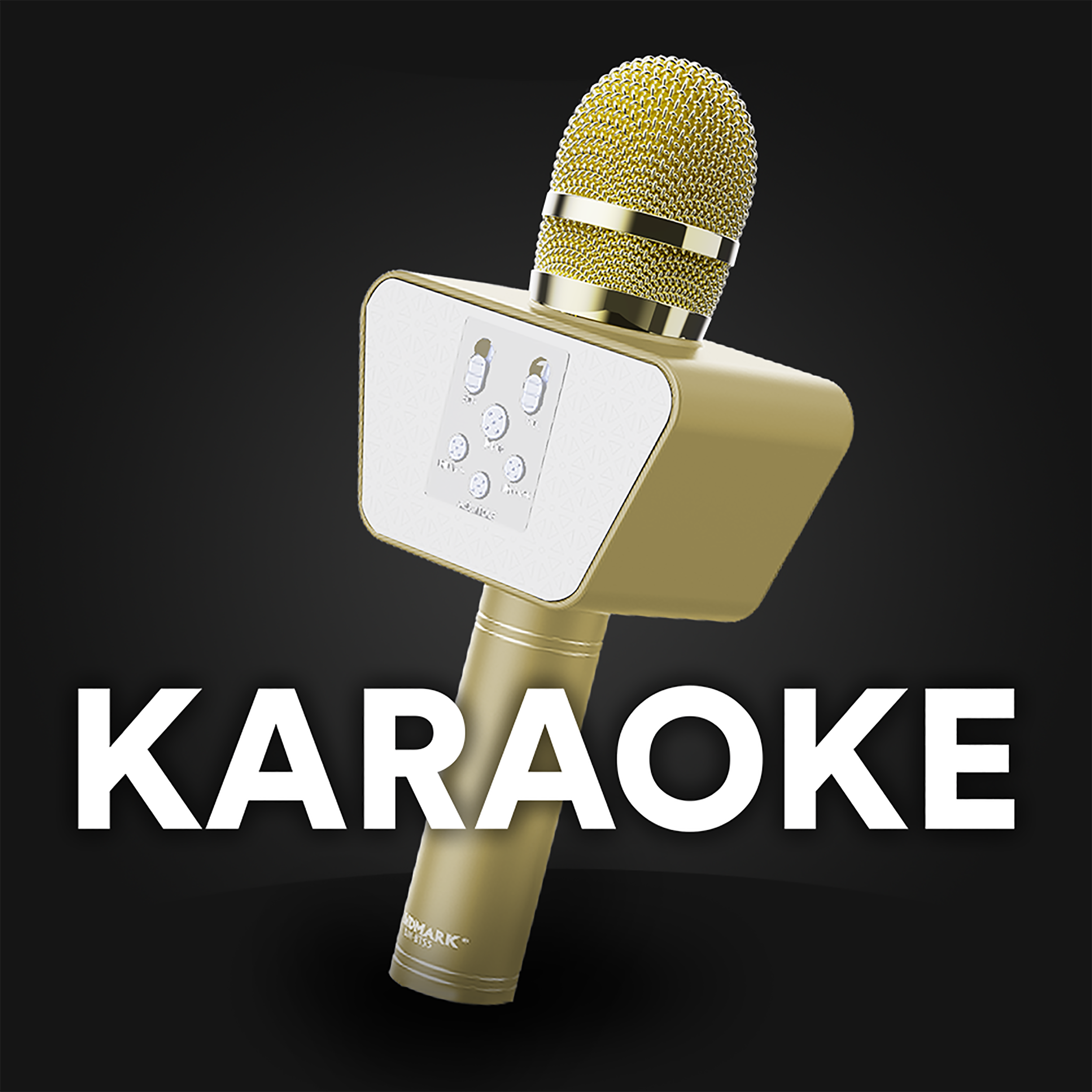 Landmark Karaoke Mic BT55: Elevate Your Singing Experience