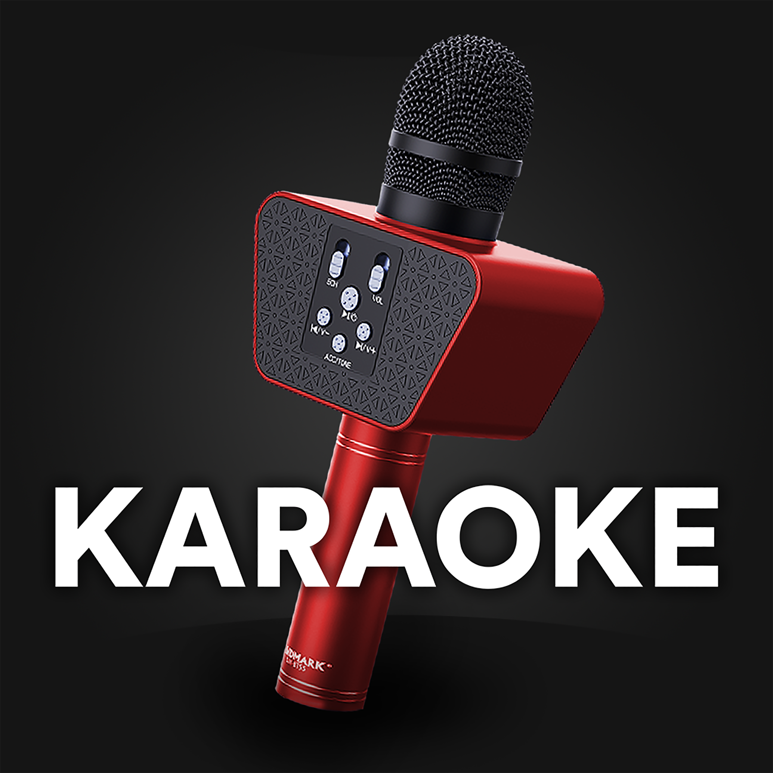 Karaoke Mic BT55
